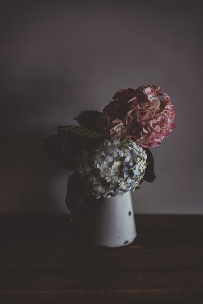 白色花瓶上的灰色和粉色花朵